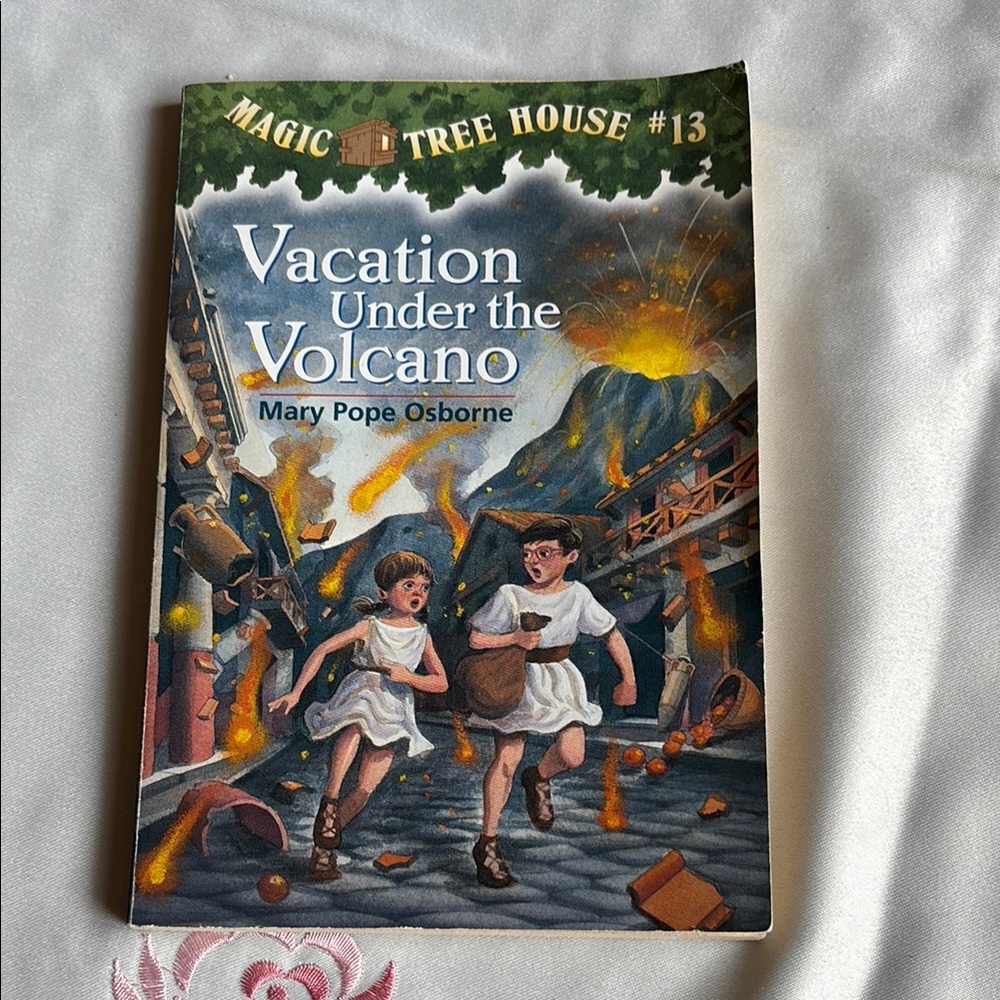 Magic Tree House book #13 paperback